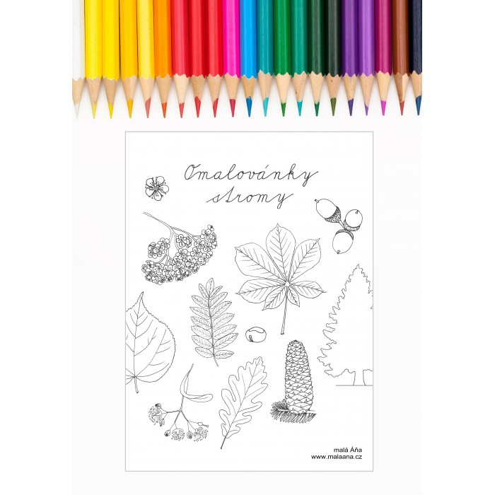 STROMY - OMALOVÁNKY PDF