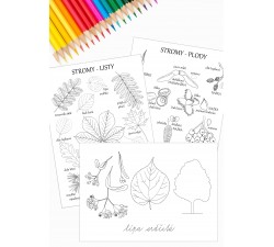 STROMY - OMALOVÁNKY PDF