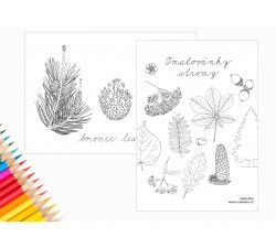 STROMY - OMALOVÁNKY PDF