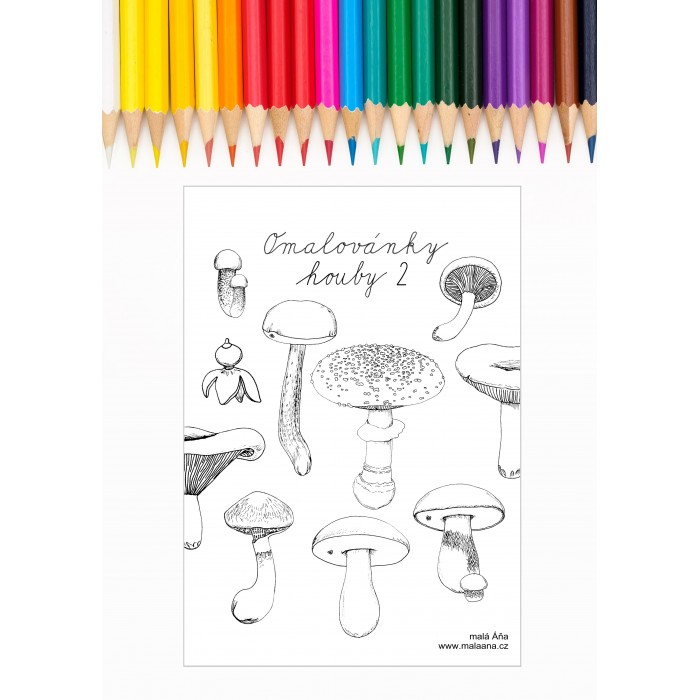 LESNÍ HOUBY 2 - OMALOVÁNKY PDF