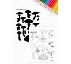 LESNÍ HOUBY 2 - OMALOVÁNKY PDF