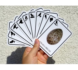 VAJÍČKA PĚVCI výukové karty