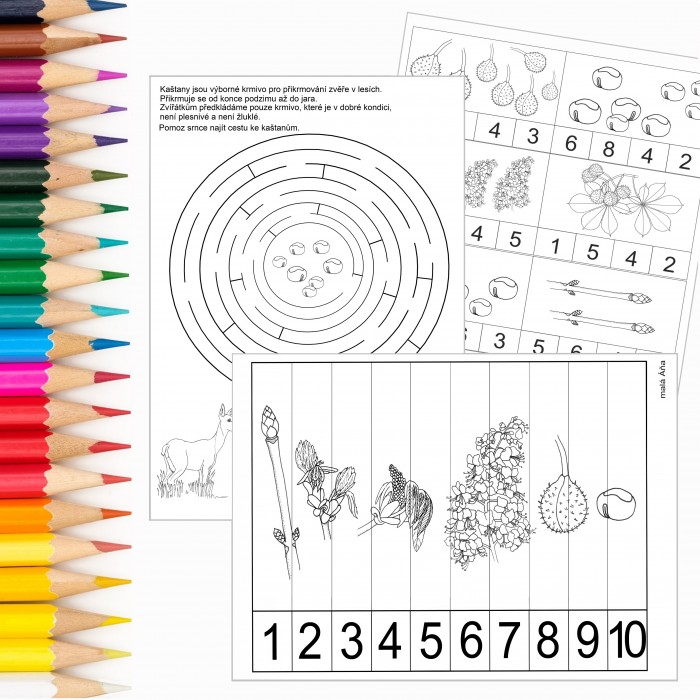 KAŠTAN / JÍROVEC MAĎAL - PRACOVNÍ LISTY v PDF