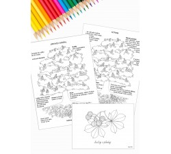 KAŠTAN / JÍROVEC MAĎAL - POZNÁVÁME PŘÍRODU PDF