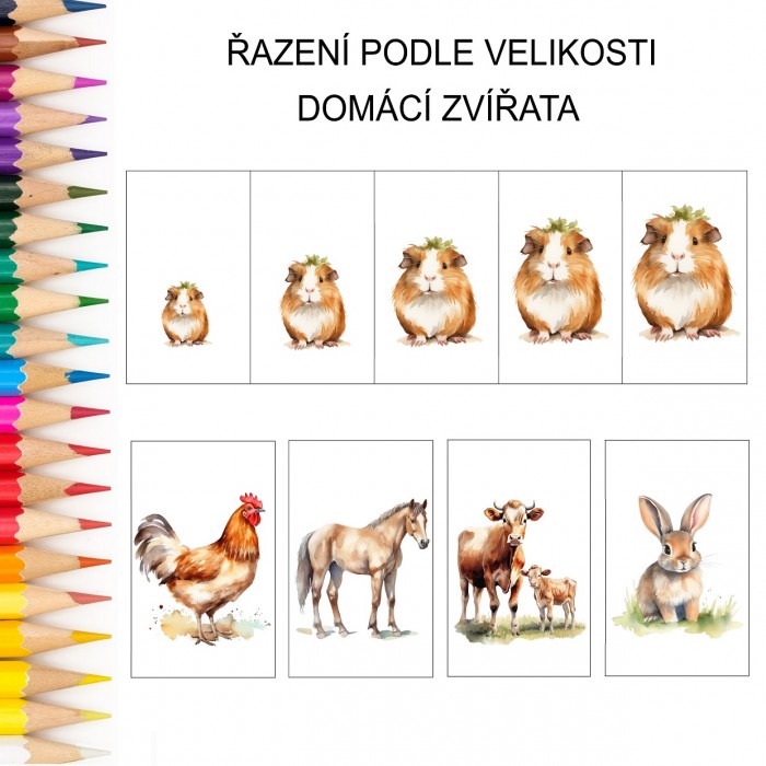 Řazení podle velikosti DOMÁCÍ ZVÍŘATA v PDF