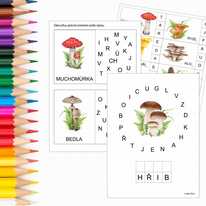 UČÍME SE PÍSMENKA - HOUBY v PDF