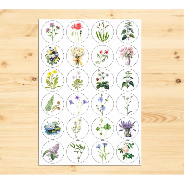 Samolepky kolečka ROSTLINY