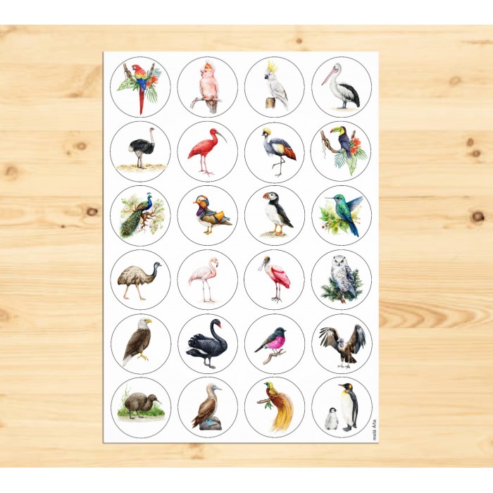 Samolepky kolečka CIZOKRAJNÍ PTÁCI