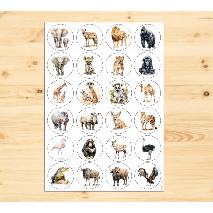 Samolepky kolečka AFRIKA