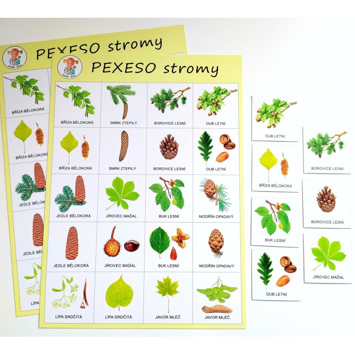 pexeso STROMY