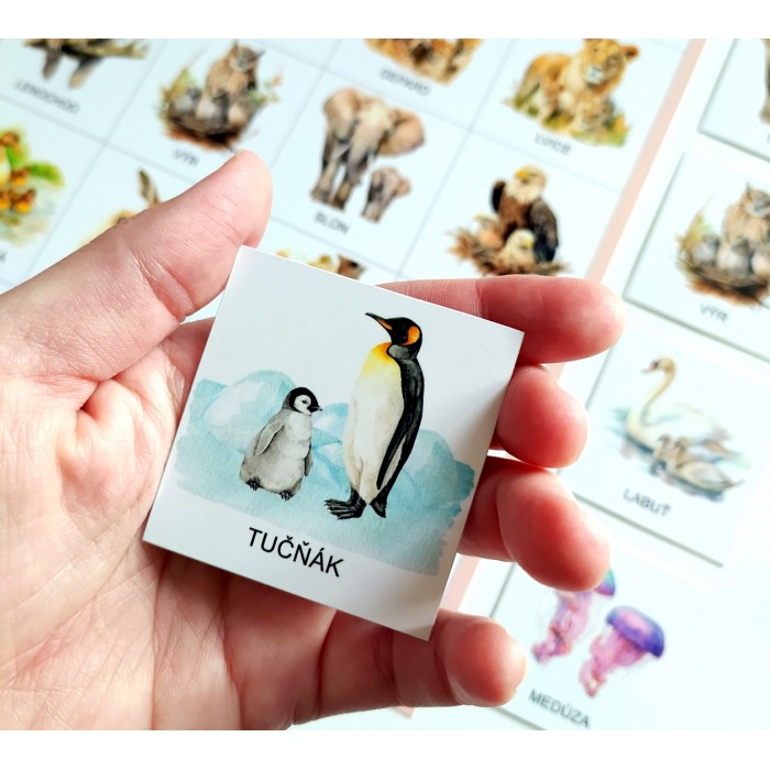 pexeso MAMINKA A JÁ