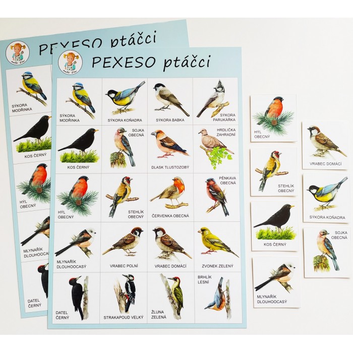 pexeso PTÁČCI
