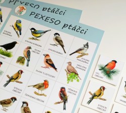 pexeso PTÁČCI