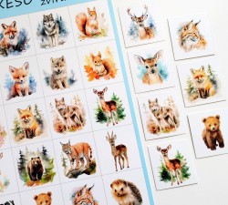 pexeso LESNÍ ZVÍŘÁTKA