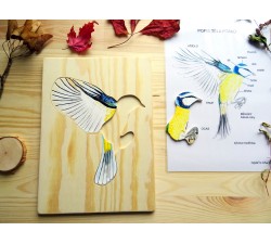 Ručně malované puzzle stavba těla ptáčka + karta