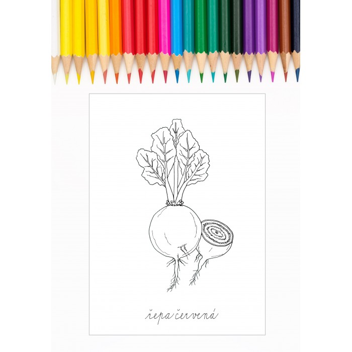 ZELENINA - OMALOVÁNKY v PDF