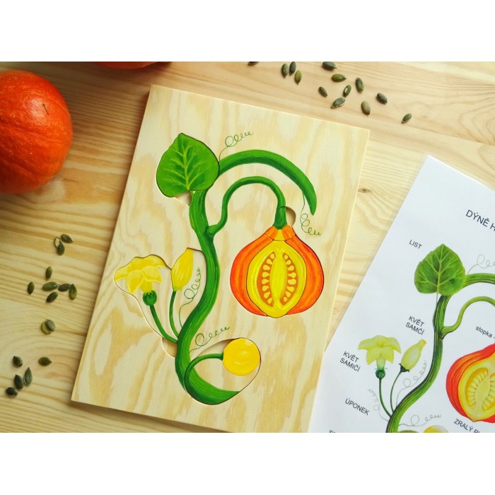 Ručně malované puzzle DÝNĚ HOKKAIDO + karta