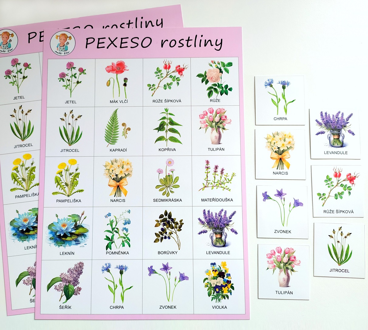pexeso ROSTLINY 1.jpg